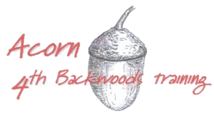 acorn4th logo